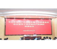 2024年文山市知识产权战略实施工作联席会议